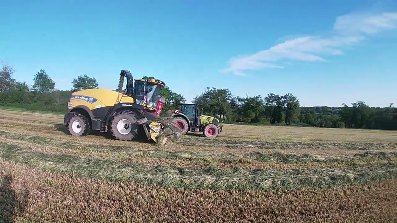 Ensilage d'herbe 2025