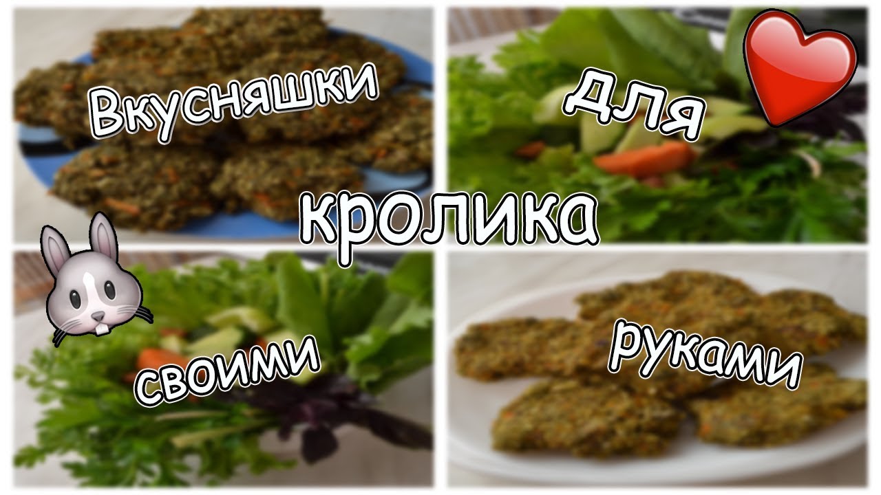 Вкусняхи для кролика своими руками/Я и мои Животные
