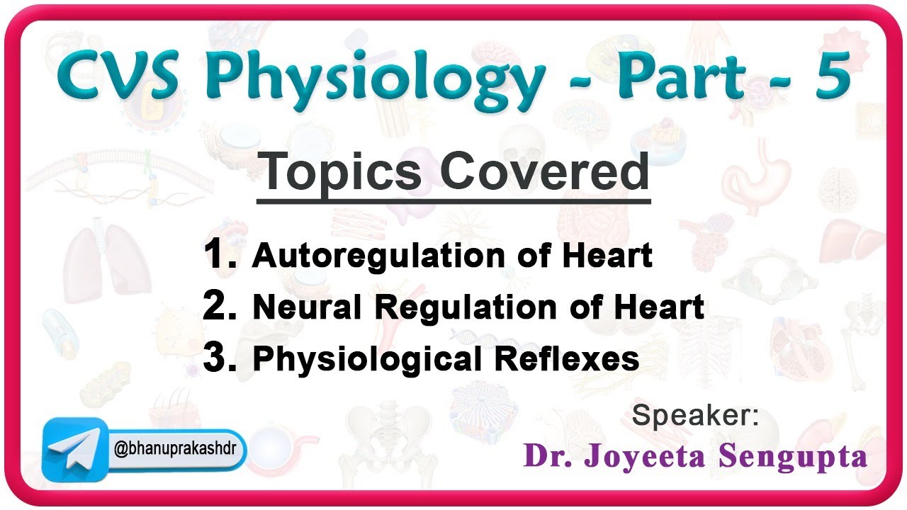 CVS Physiology (Part - 5) - Regulation of heart rate and blood pressure❤️📈🎯