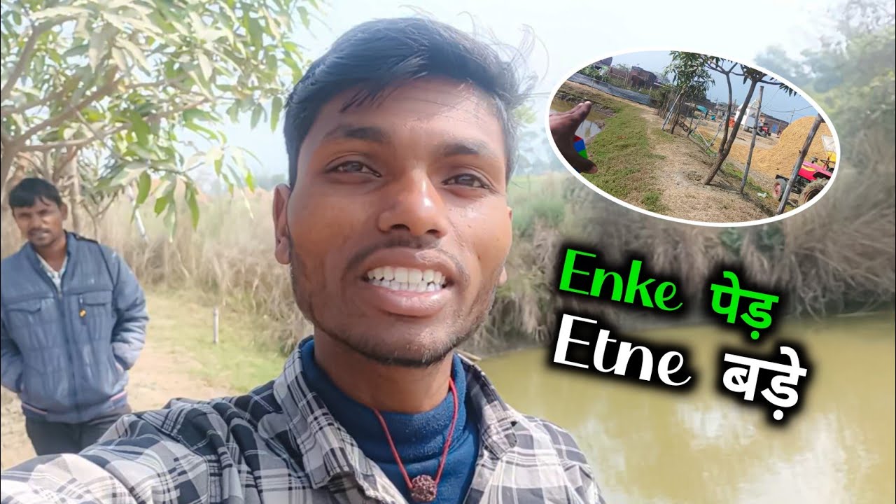 Enke Lagaye Gaye पेड़ Etne बड़े Ho Gaye 🥰