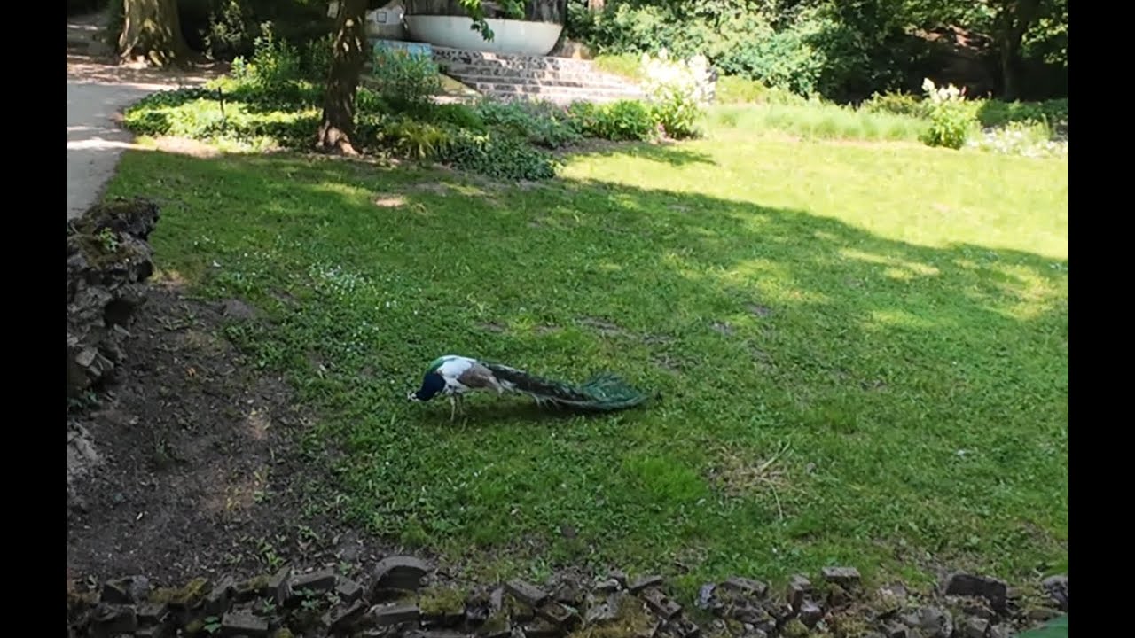 Deventer Netherlands Bird Island