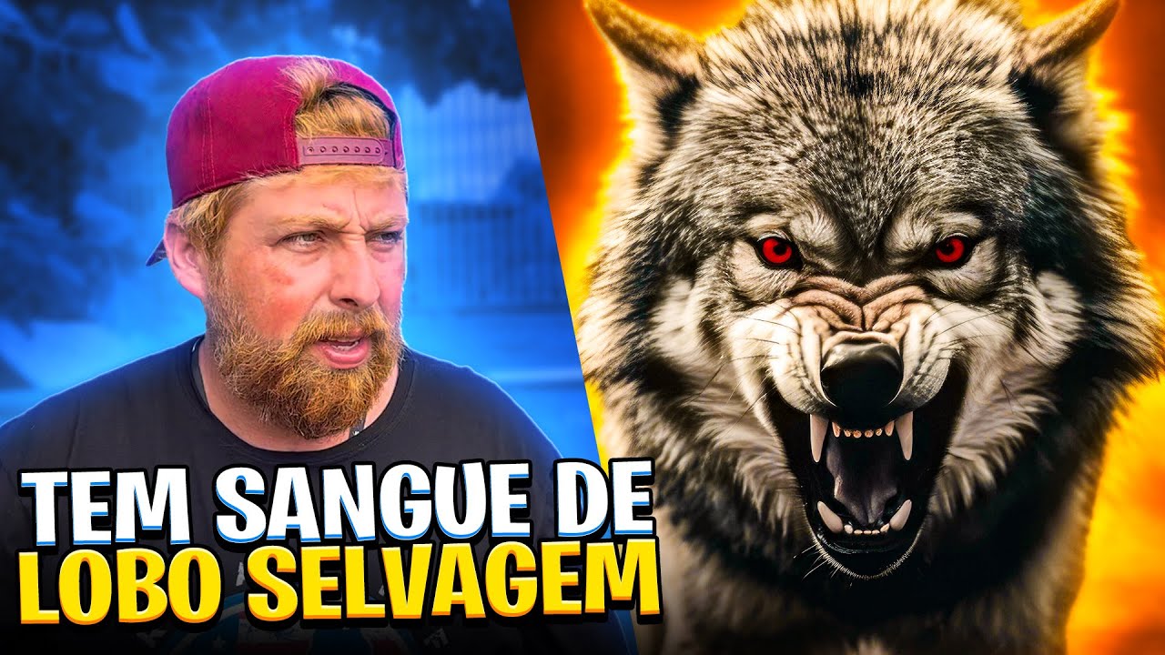 CÃO LOBO - VOCÊ CONHECE ?