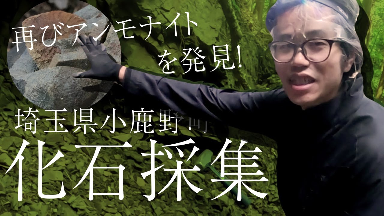 埼玉県で化石採集！弟が白亜紀のアンモナイトを採集しちゃいました！化石乙史。