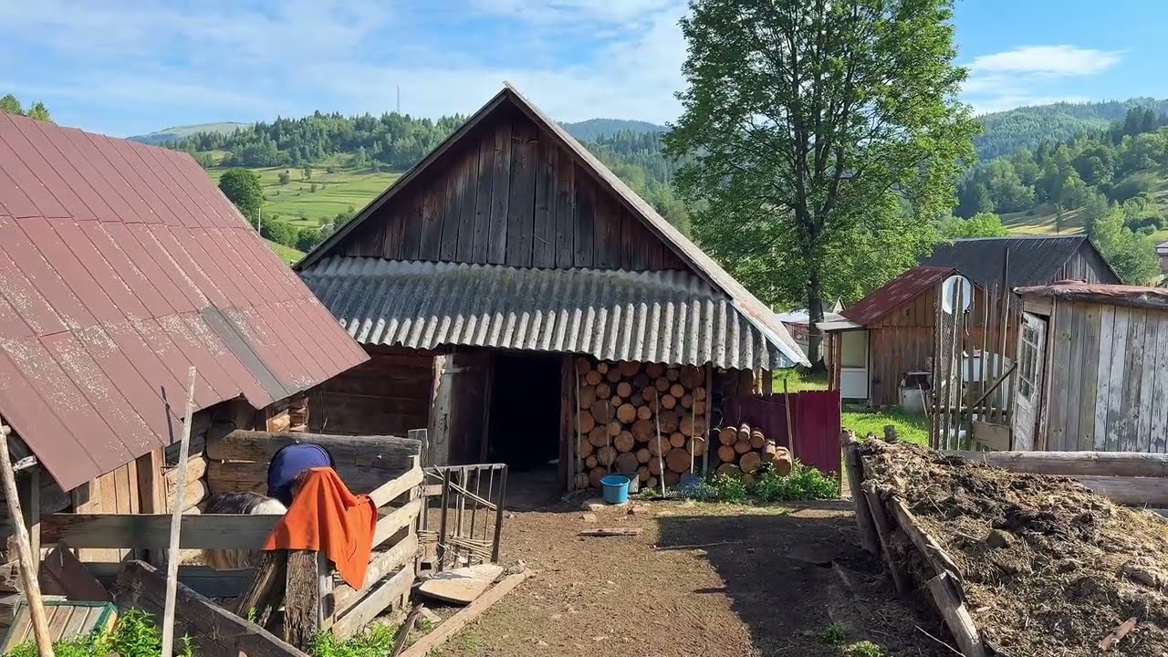 One day in the life of grandmother Maria in the Carpathian🏔️ cooking traditional lamb dishes🐑