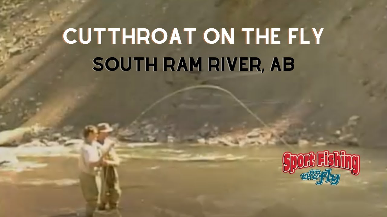 FLY FISHING: CUTTHROAT ON THE DRY FLY WITH DAVE JENSEN