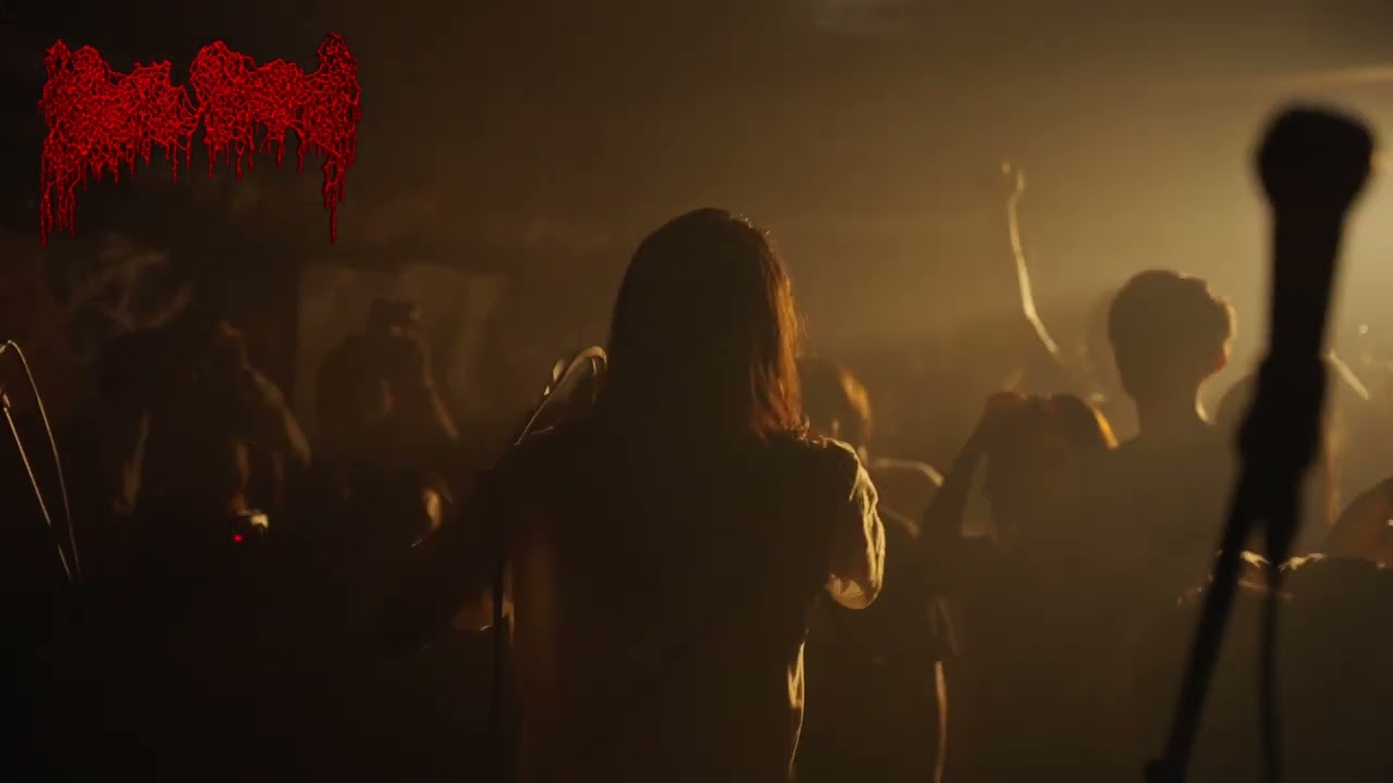 moreru - 夕暮れに伝えて / 念写 (LIVE CLIP)