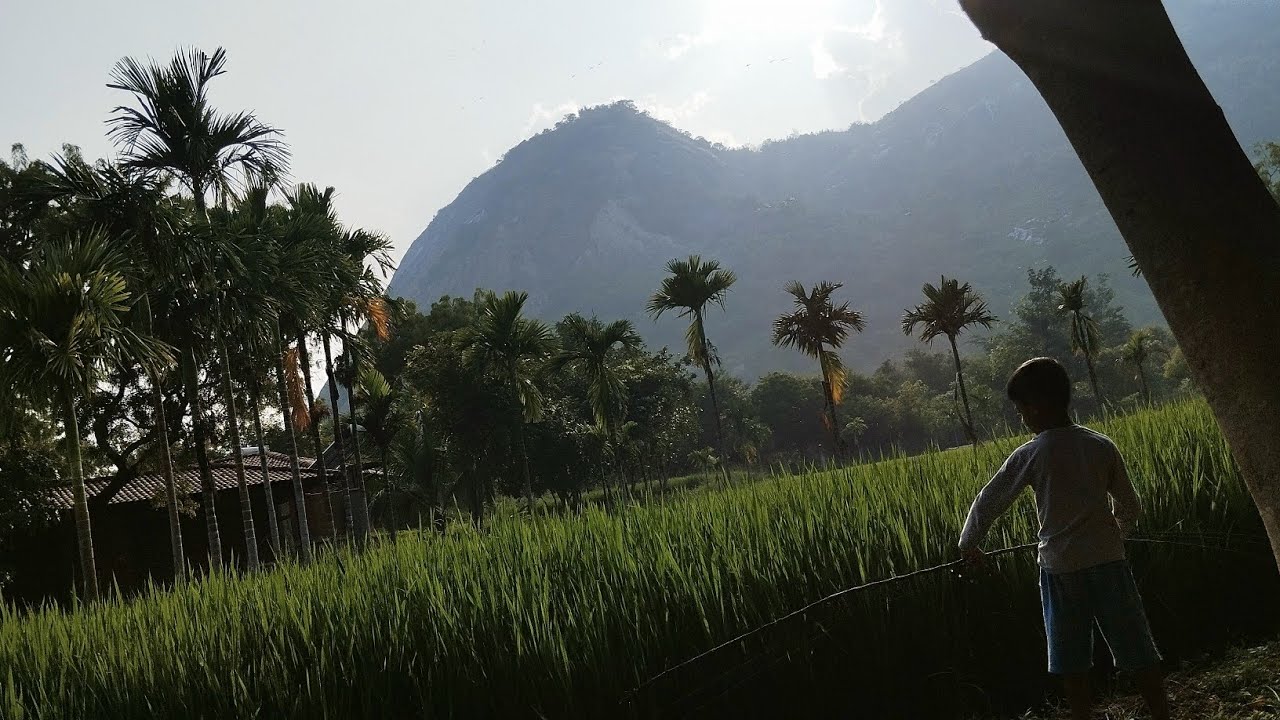 @baevuthevillage6932 resort | Kanakapura | Bangalore | Pet friendly #getlostinnature