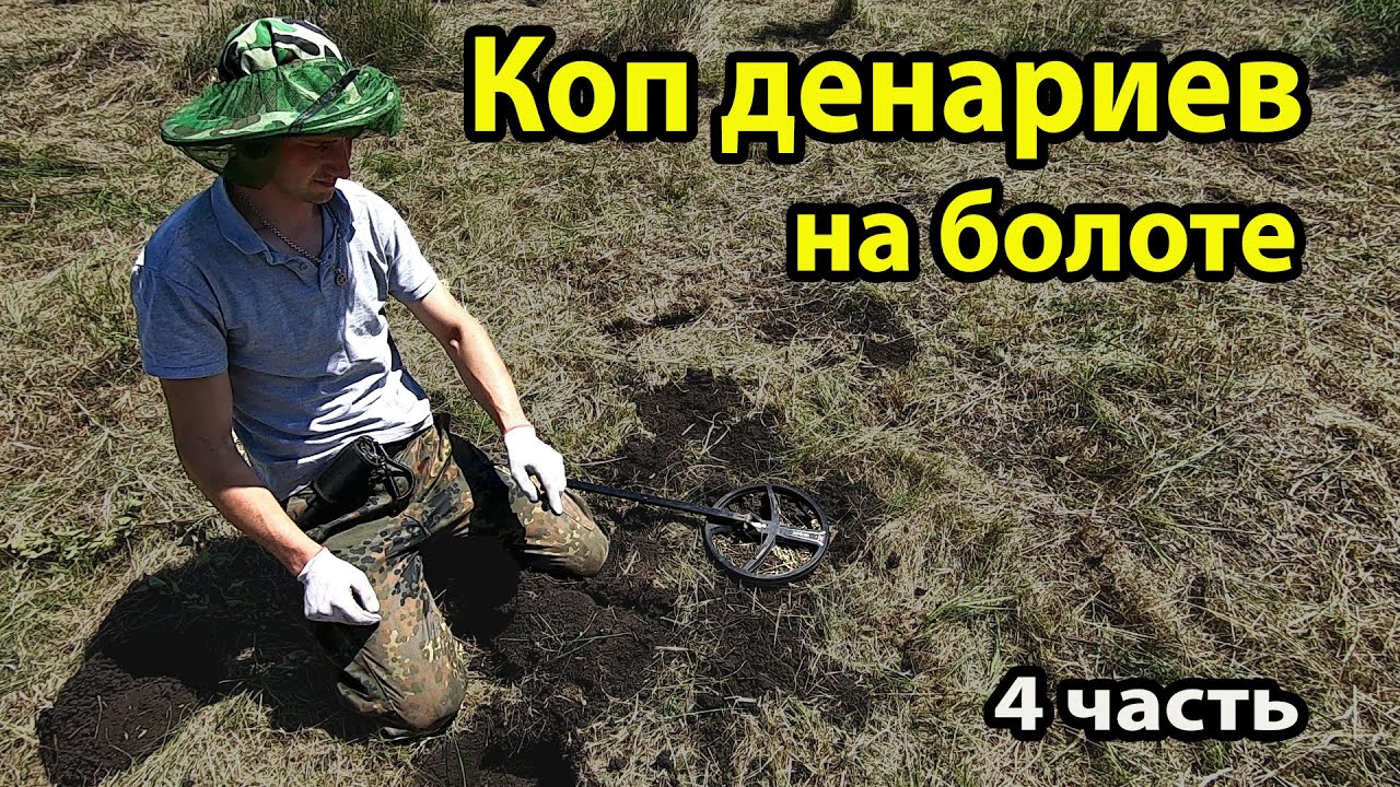 Коп на высохшем болоте! Столько денариев это шок.