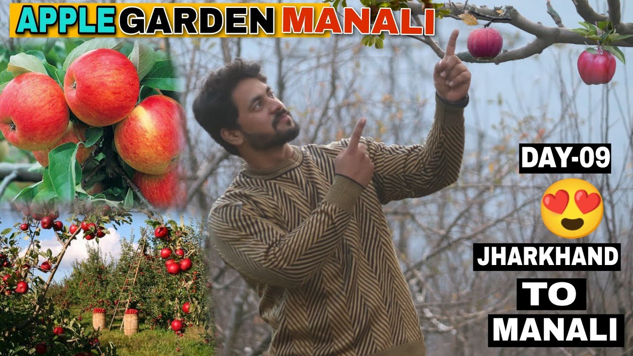 Apple🍎 Garden🌳 Manali//Jharkhand To Manali//Day-09//Biggest Apple Farm In Himachal😍