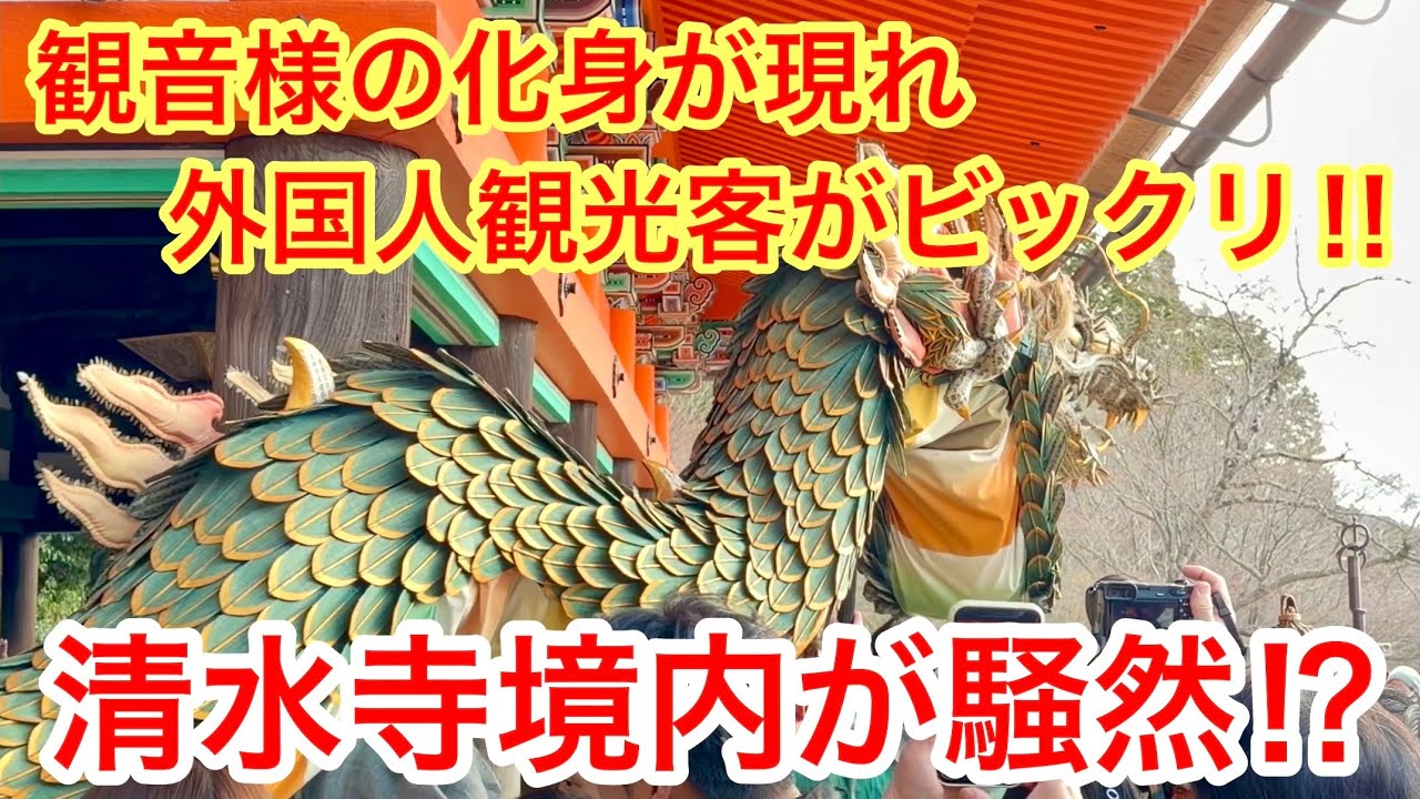 2026年3月15日 観音様🍀の化身が現れ外国人観光客がビックリ‼️清水寺境内が騒然⁉️ Kiyomizu-dera Temple, Kyoto