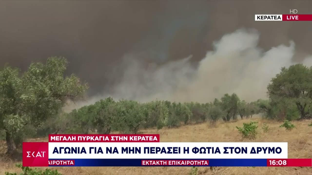 Αγωνία για να μην περάσει η φωτιά στο Δρυμό | Έκτακτη Επικαιρότητα | 16/08/2021