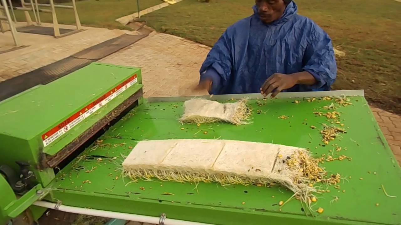 FEEDGROW Barley sprouts - Shredder