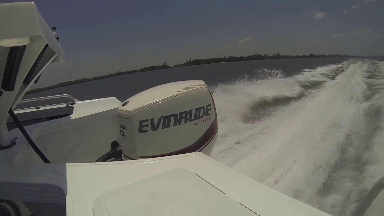 Evinrude Etec 90 HP Pure sound.mp4