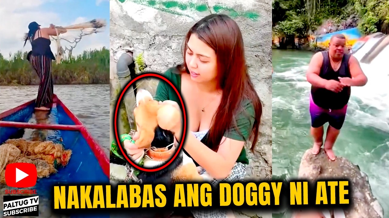 NAKALABAS ANG DOGGY NI ATE 😂 | TRY NOT TO LAUGH, MEMES FOR LAUGH