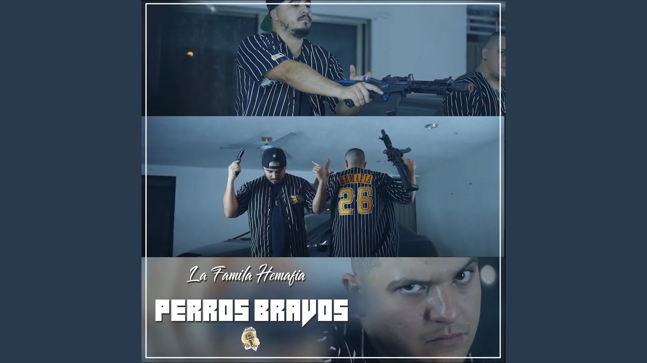 Perros Bravos