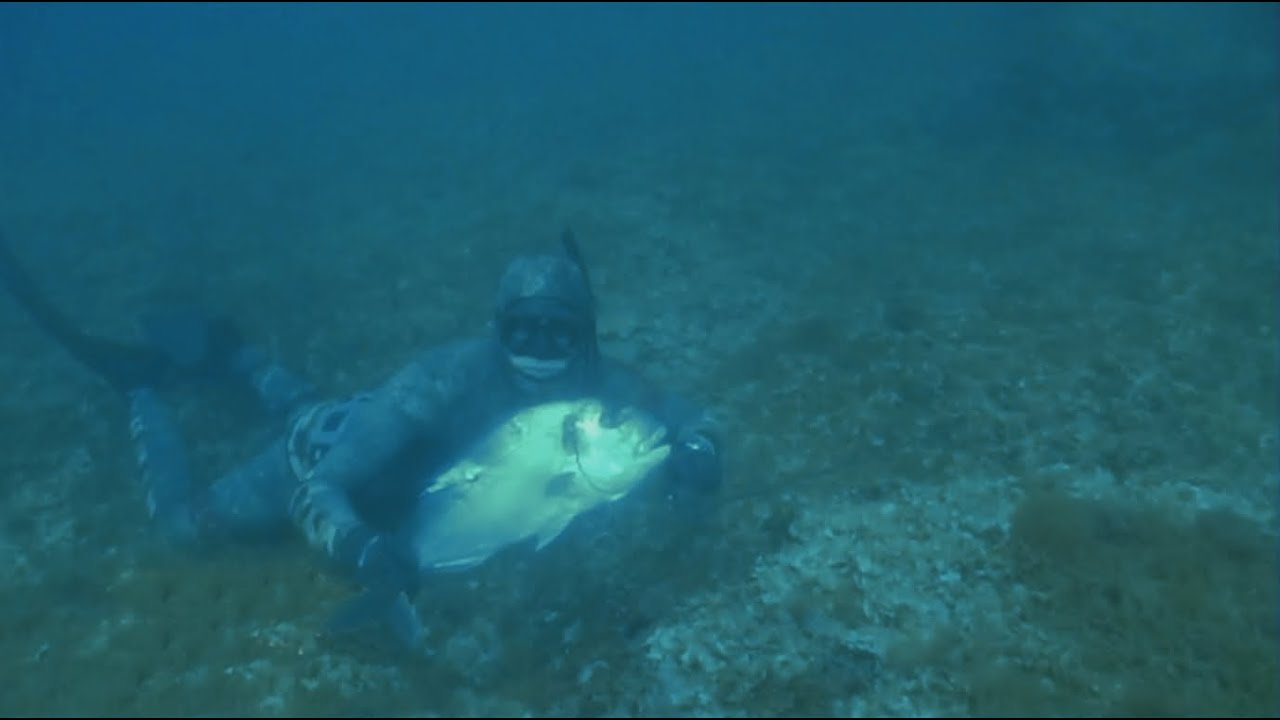 SPEARFISHING DOCUMENTARY - AMBUSH IN SHALLOW WATERS THE PART 1 ( Η ρηχή ενέδρα  ΜΕΡΟΣ 1ο)