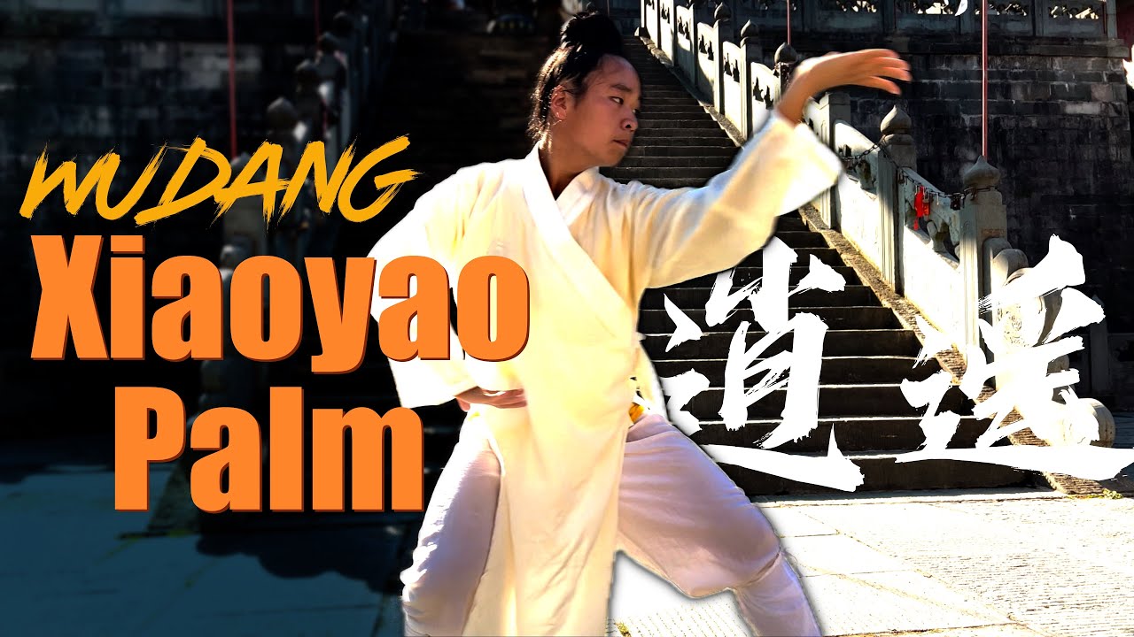 WUDANG Kungfu - XIAOYAO Zhang - FULL Carefree Palm Form XUANWUPAI style / 武当逍遥掌