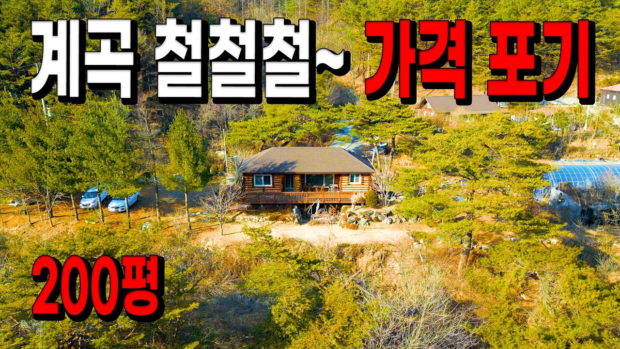 마르지 않는 계곡까지 단 10걸음 / 가격까지 포기해 양심적인 가격으로 나왔습니다!
