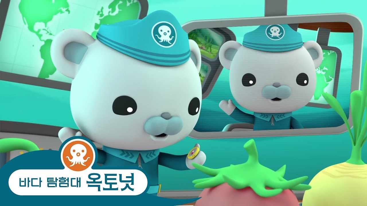 바다 탐험대 옥토넛 - 수생 동물에 대해 알아보기 - 모음집