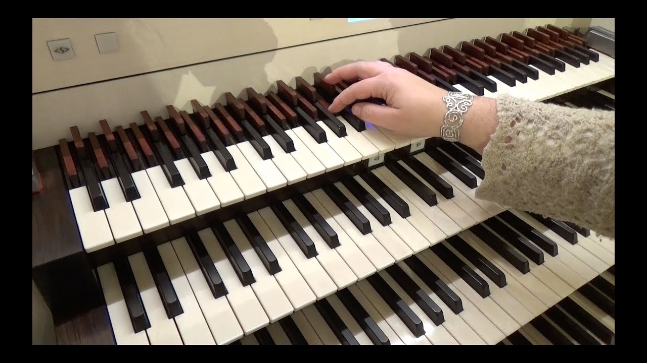 The Organ of Kassel St  Martin