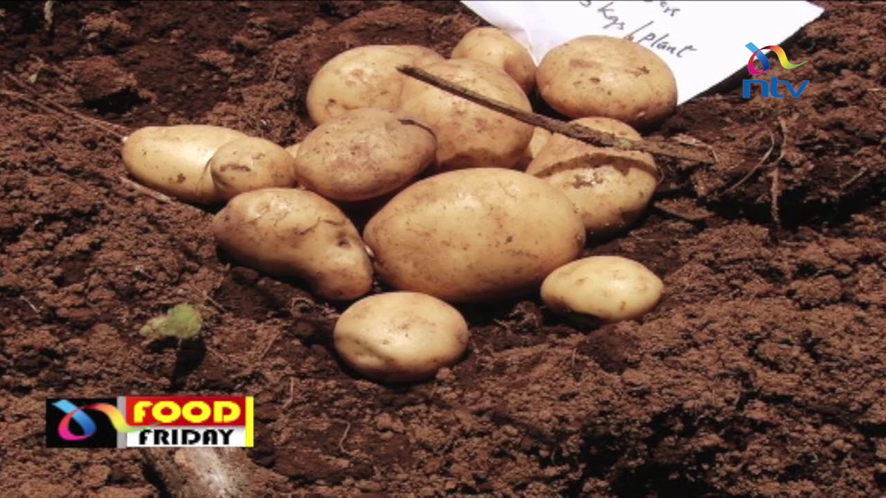 New potato variety #FoodFriday