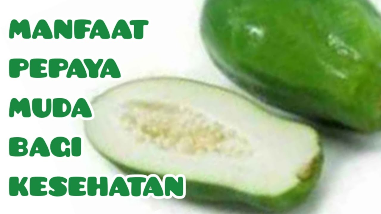 MANFAAT PEPAYA MUDA BAGI KESEHATAN || BENEFITS OF YOUNG PAPAYA FOR HEALTH