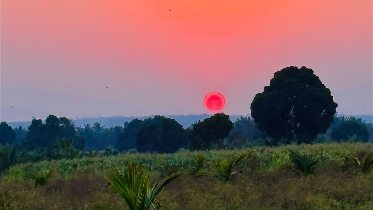 Aaj Ka Sunset Dekh Ke Dil Khus Ho Gya 😊