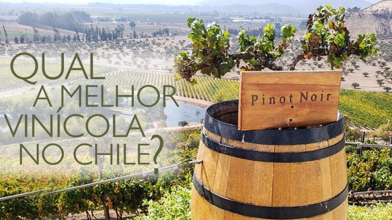 A MELHOR VINÍCOLA - CHILE!