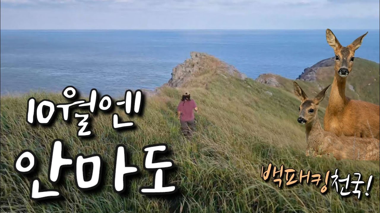 굴업도는 잊고, 이제 안마도에서 새출발 하는건 어때?   🦌(x120)