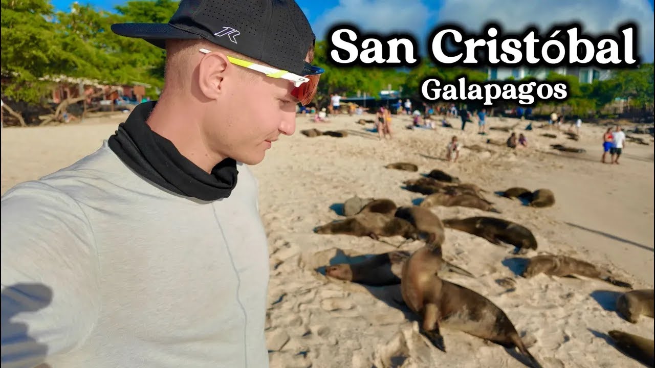Galapagos 🇪🇨 This remote island has more SEA LIONS than people
