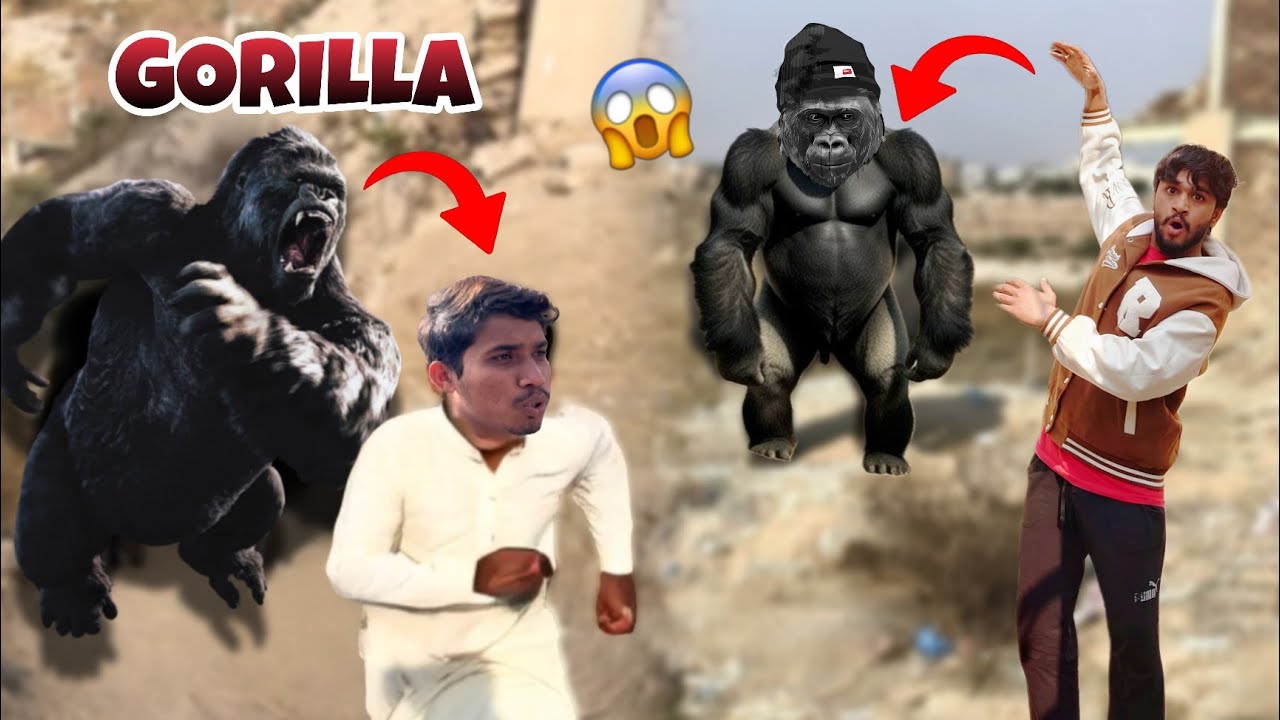 Ali Gorilla Ban Gaya 🦍| Ali Ko Kia Ho Gya😭 |Haider Family 