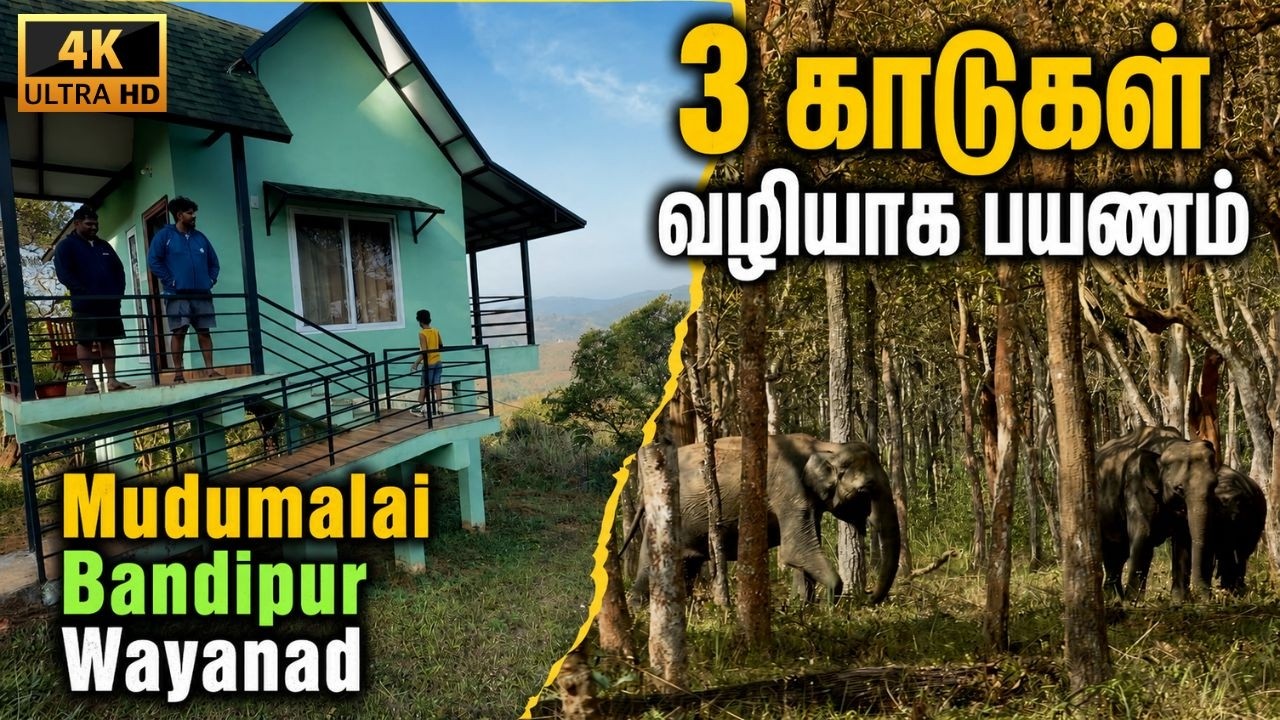 🔥காடுகளுக்குள் பயணம் 🐘 | Mudumalai Bandipur Wayanad @SimbaaVlogs