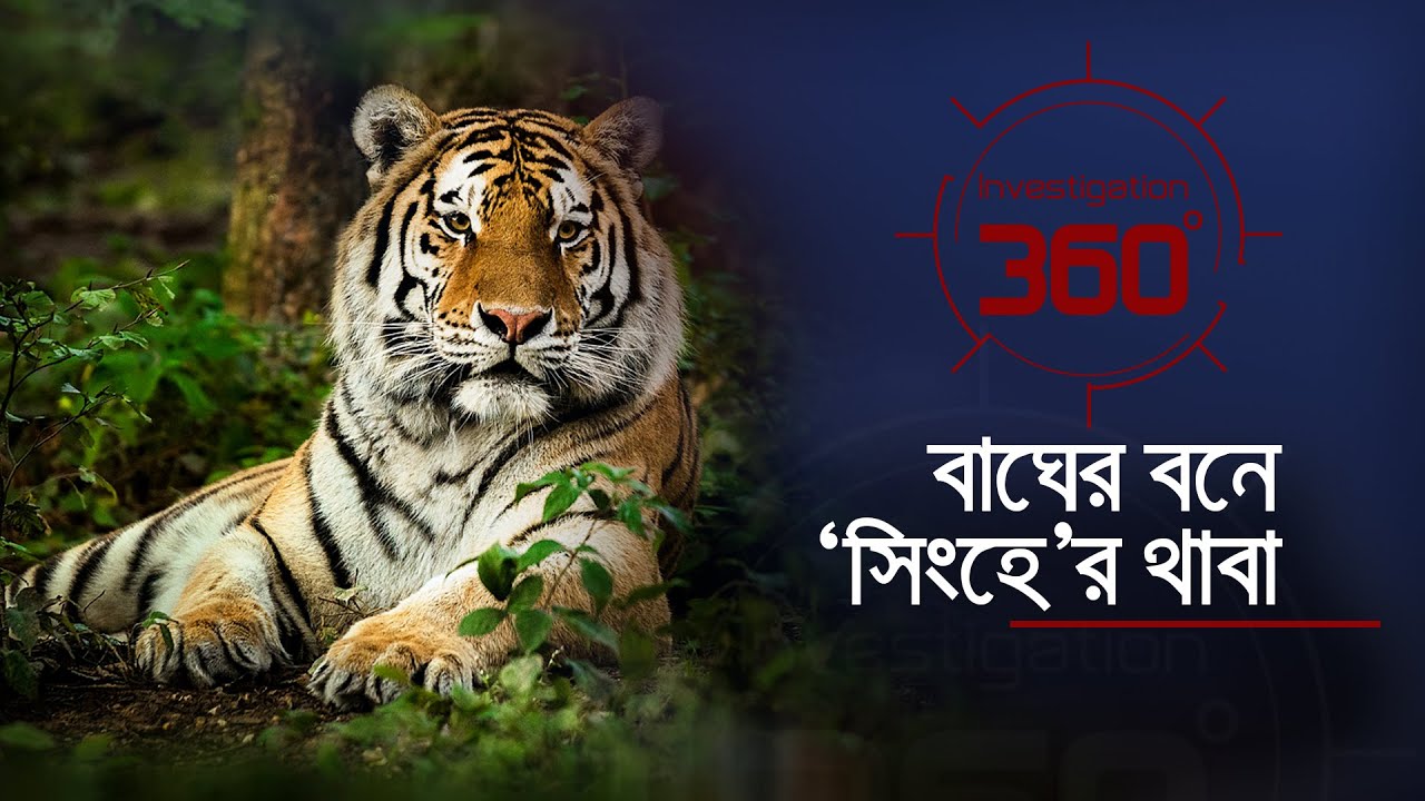 বাঘের বনে সিংহের থাবা | Investigation 360 Degree | EP 377 | Jamuna TV