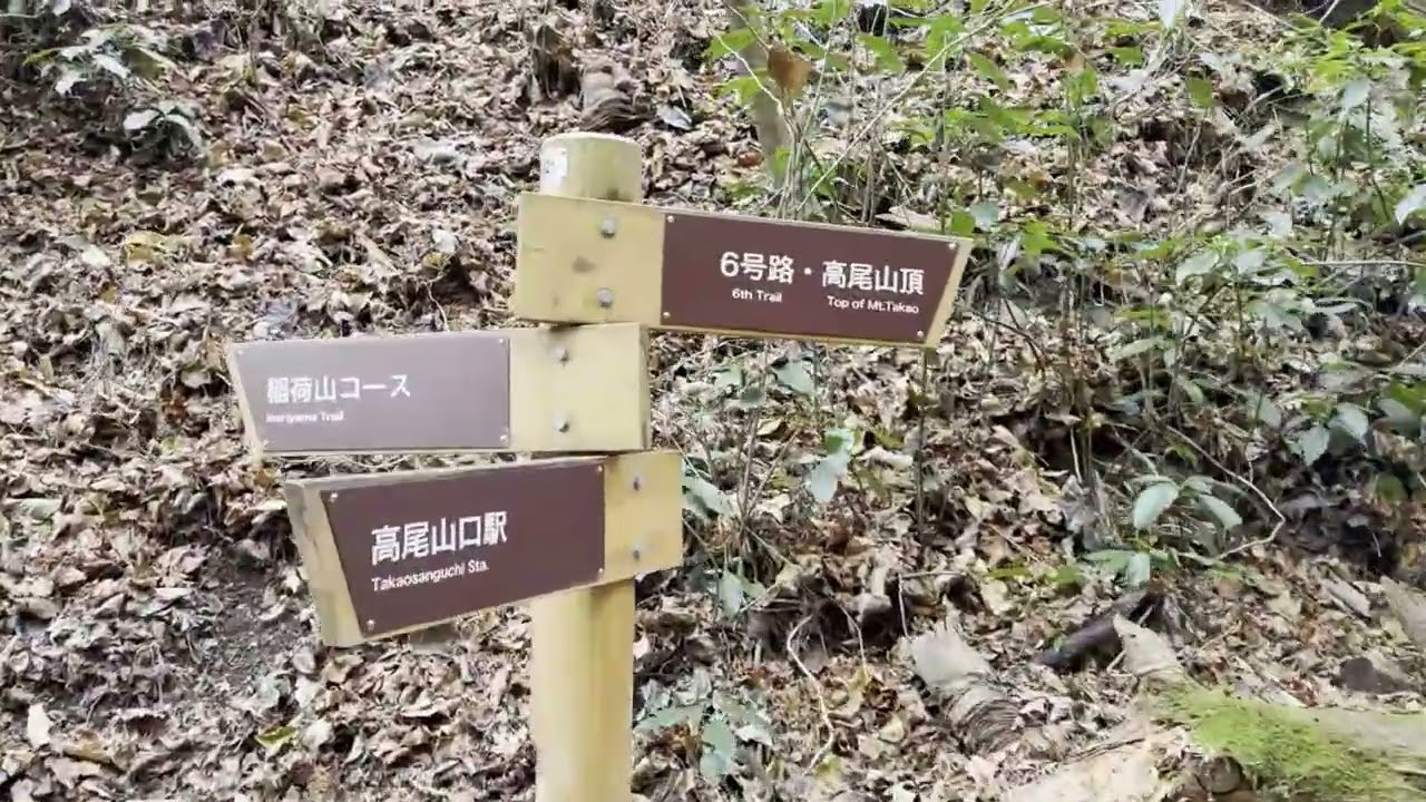 Mount Takao Trail 6 Descent | Tokyo&rsquo;s Most Natural Route #mttakao #6trail #tokyohiking #japanhiking
