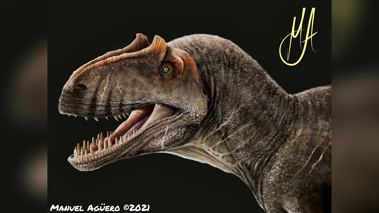 |¿LA MEJOR ILUSTRACIÓN A DIGITAL DEL CANAL?| RECONSTRUCCIÓN ALLOSAURUS FRAGILIS