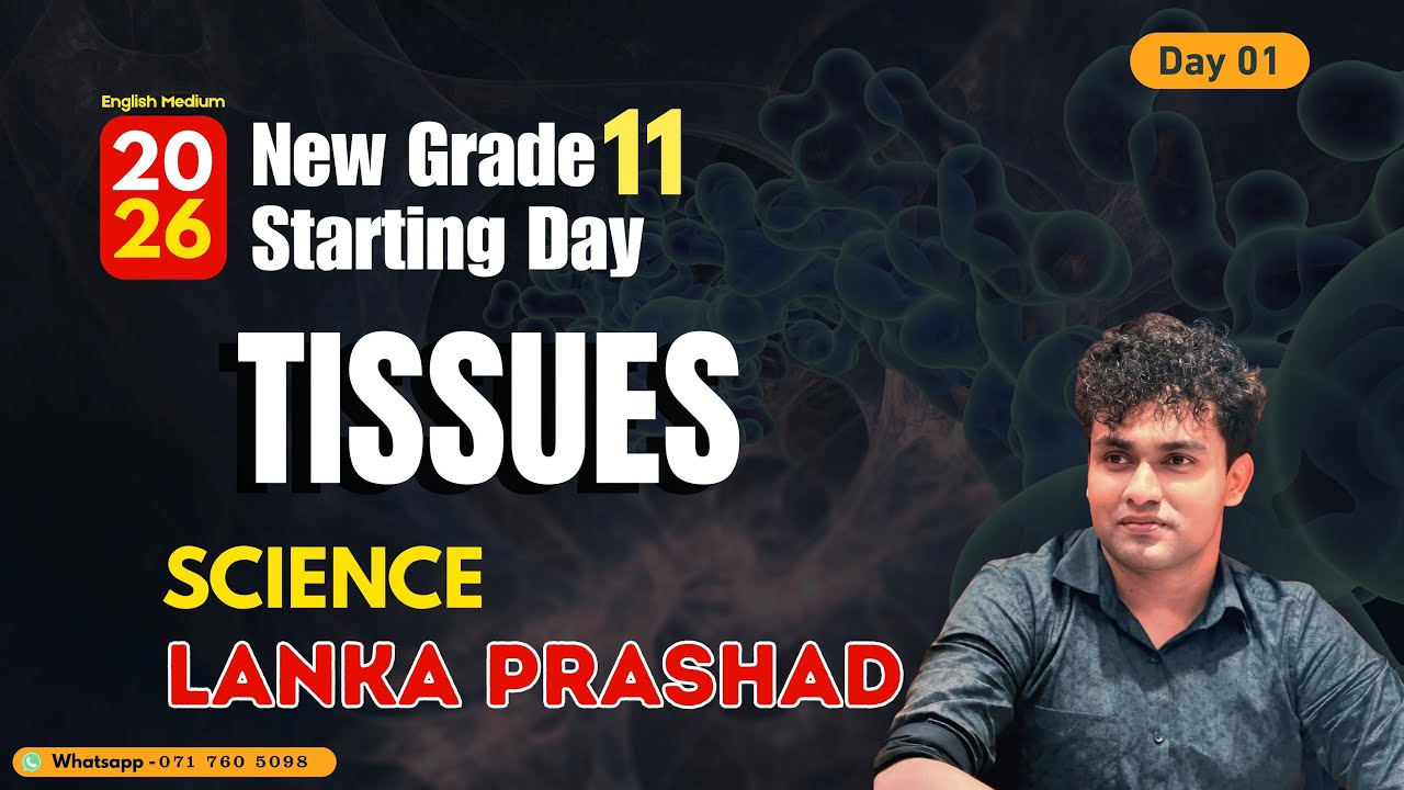 2026 Grade 11| English Medium