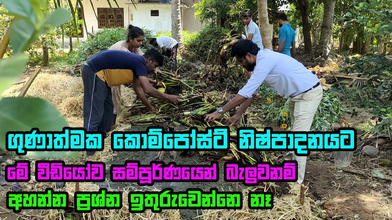 ගුණාත්මයෙන් ඉහළ කොම්පෝස්ට් නිෂ්පාදනය | Compost pohora nishpadanaya | kompost pohora