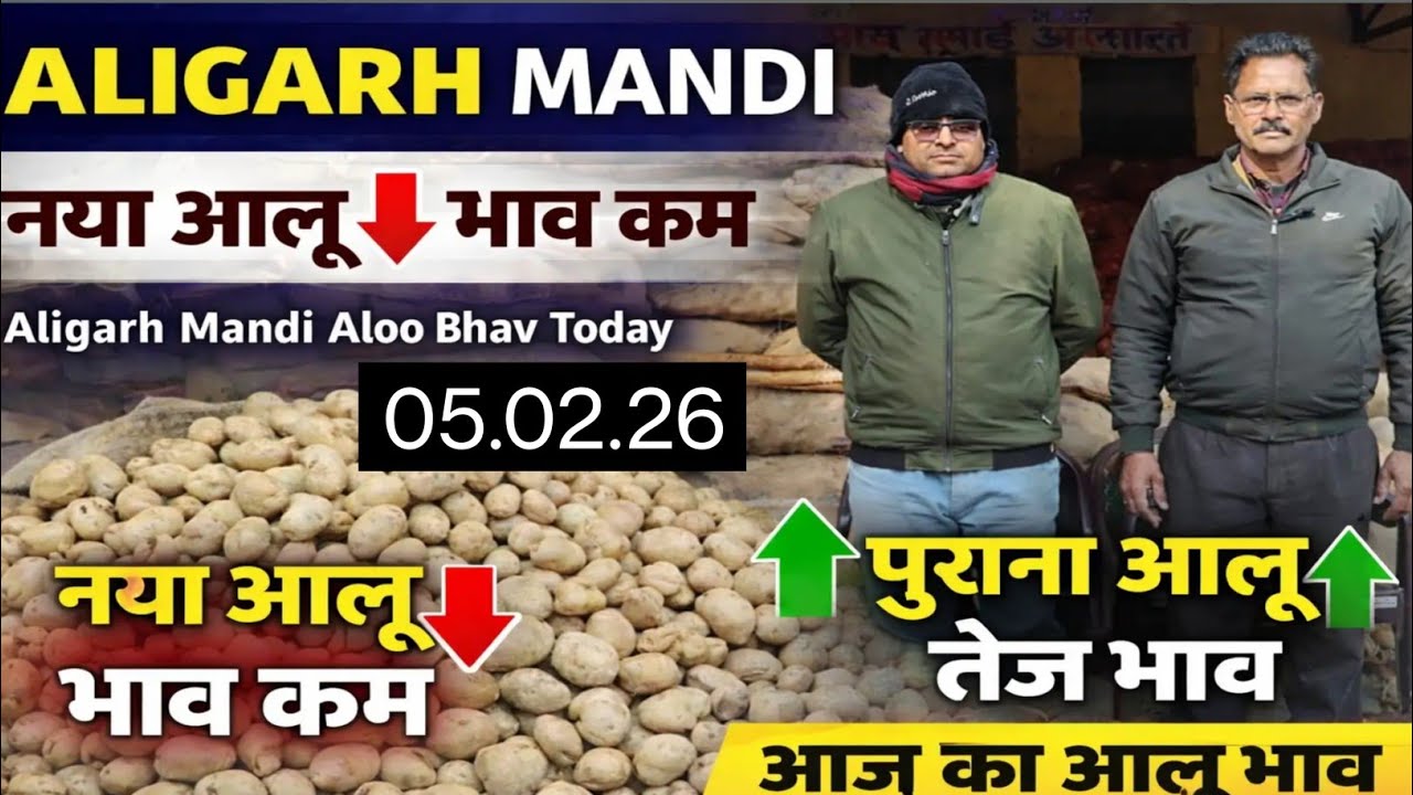  #Aligarh Mandi Aloo Bhav Today | नया आलू गिरा 🔻 पुराना हुआ तेज 🔥*#farming #आलू_की_खेती #kisan 