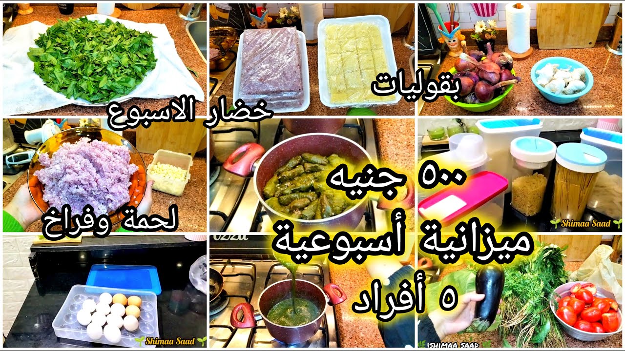 أحسبيها صح💰 ميزانية الاسبوع ٥٠٠ جنيه⁉️ بالمشتريات خضار/بقوليات/لحمة وفراخ 💯#روتين#توفير
