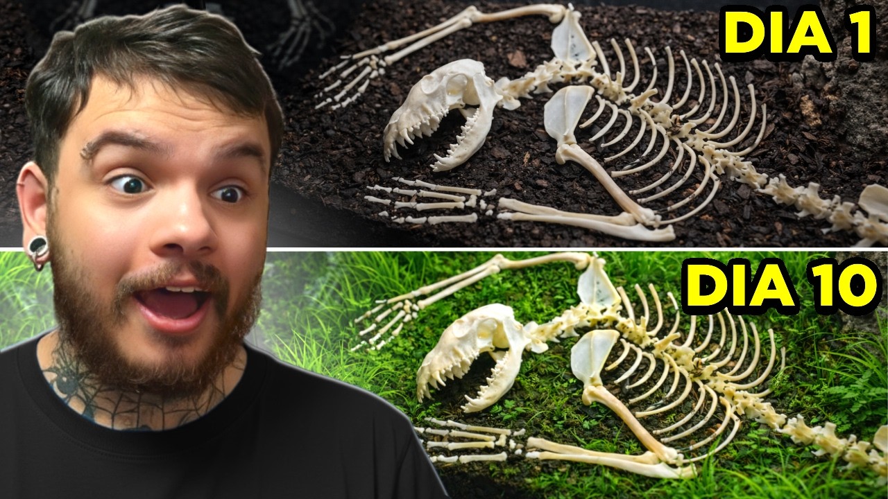 ele SIMULOU uma FLORESTA por 100 DIAS (esse vídeo é dokrl) - Dr. Plants