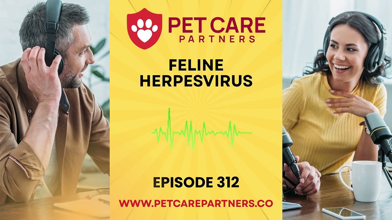 EP 312: Feline Herpesvirus (FHV-1): Pet care Partners Podcast