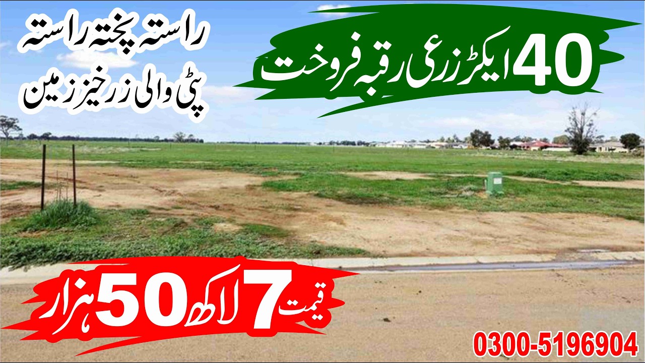 40 Acres Fertile Agriculture Land for Sale in Punjab Pakistan | Affordable Farming Land