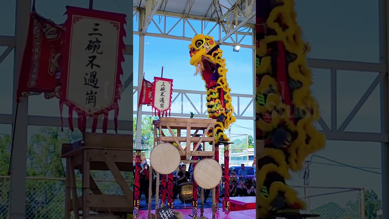 冠军-吉隆坡光艺醒狮团 2025《九洲杯》全国高桩舞狮邀请赛 #liondance #liondance2025