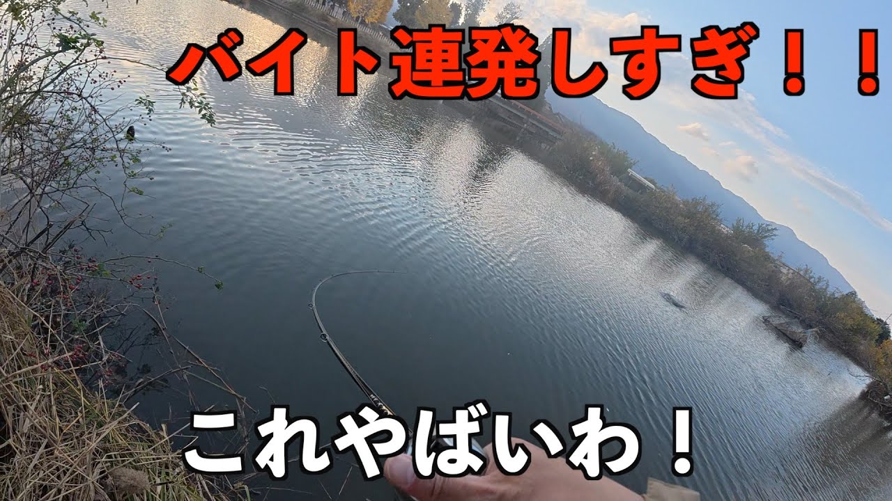 【五三川】冬でもシャローは熱いよな！