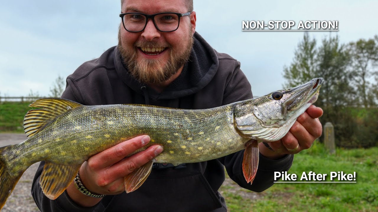 So Many Pike in One Day! Multiple Lures, Non-Stop Pike Action
