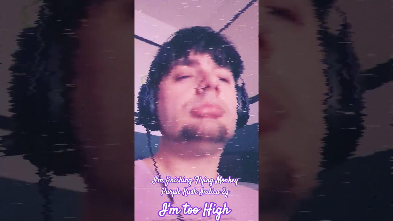 finishing flying Monkey Knockout Purple Kush Indica #mist #smoke #vape #chill #flyingmonkey