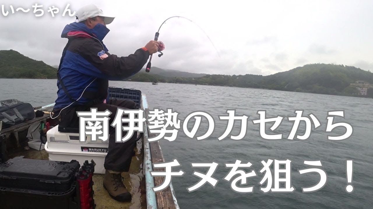強風大雨の中、アタリを取る！ 三重県南伊勢町泉 山下渡船