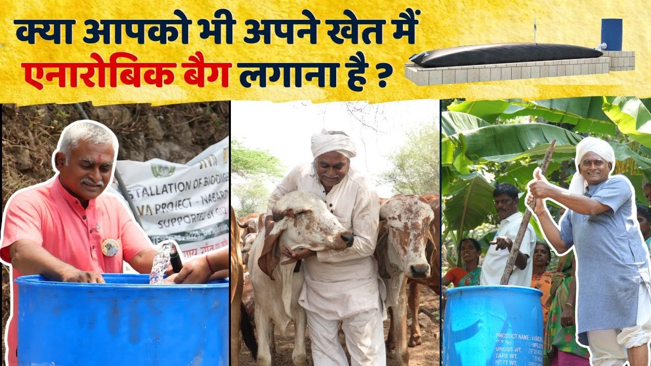 क्या आपको भी अपने खेत मैं एनारोबिक बैग लगाना है ? | Anaerobic Bag | Gir Gau Jatan | Rameshbhai R