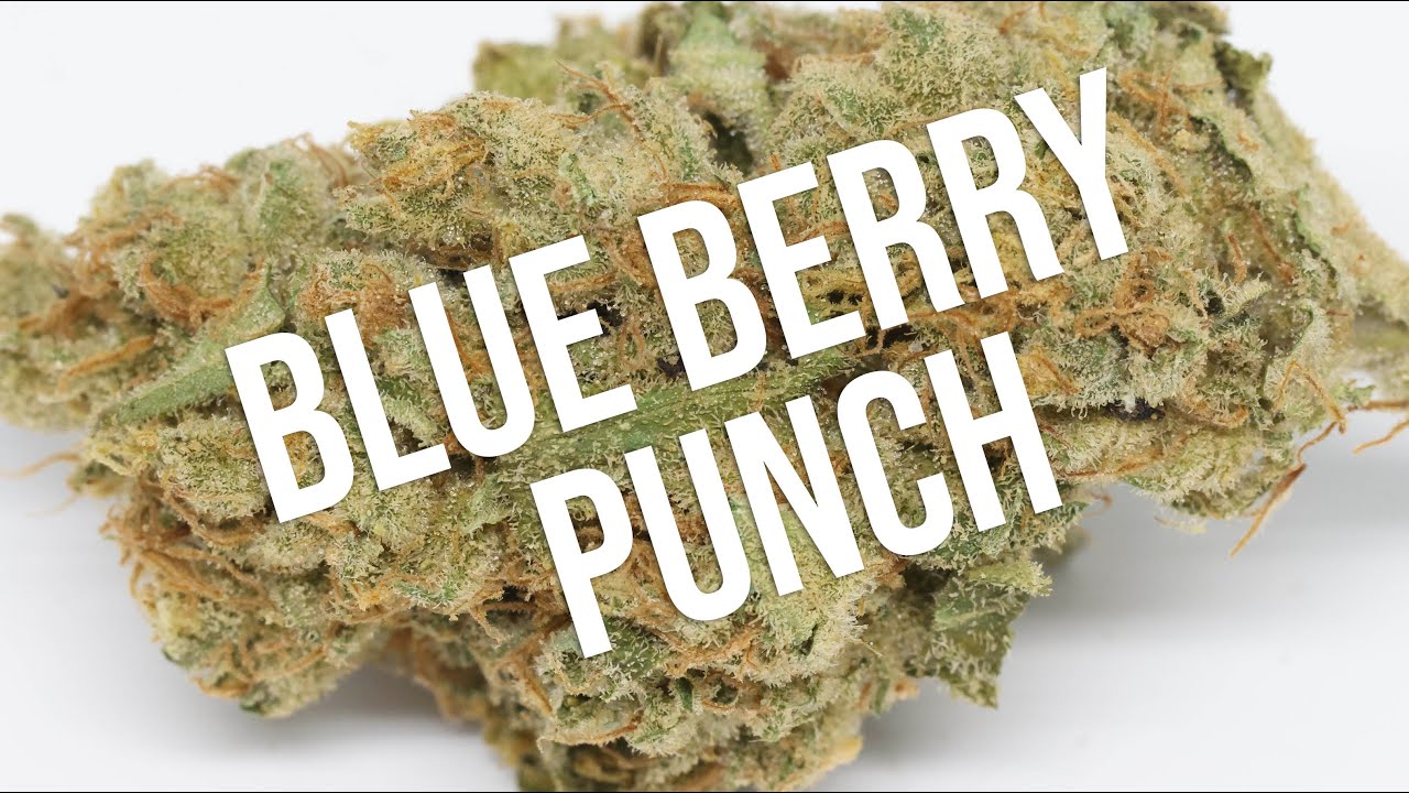 Blue Berry Punch