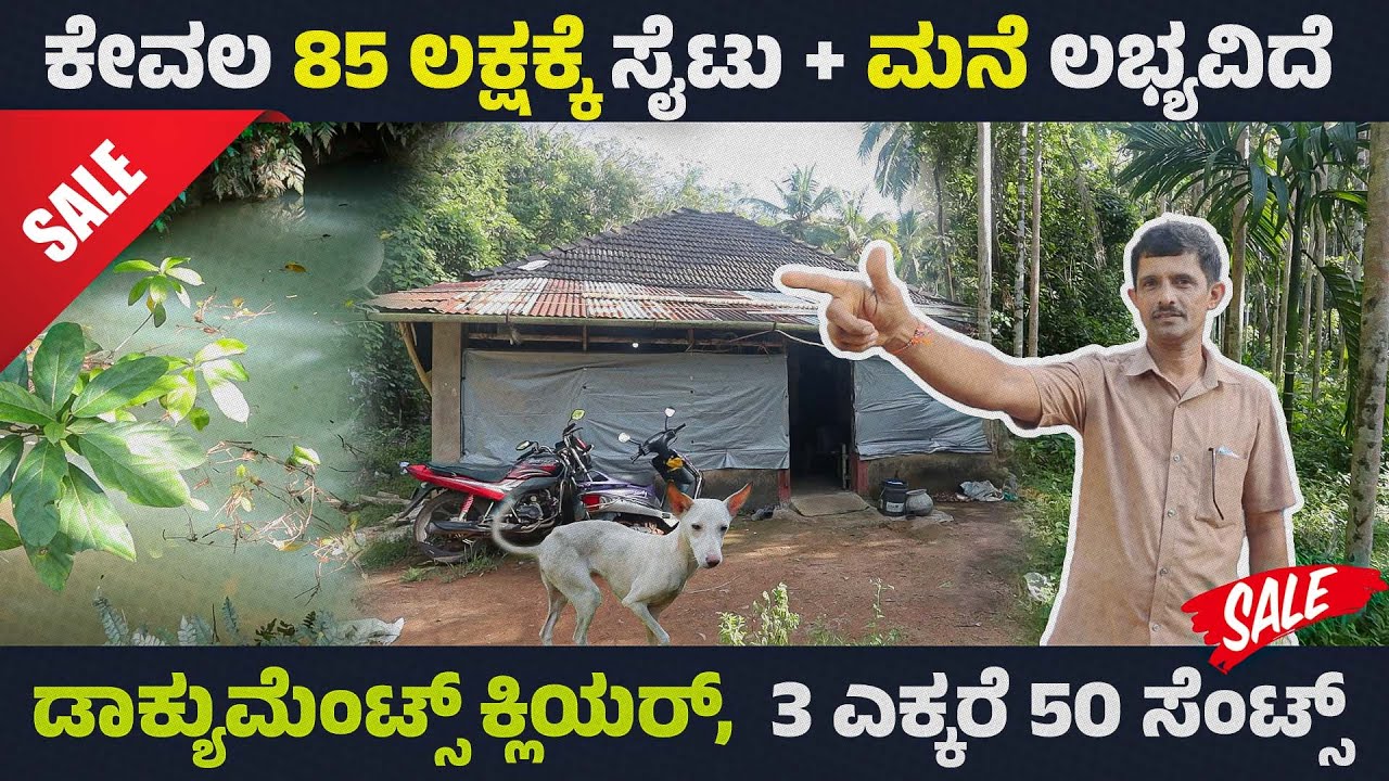 3 ಎಕ್ಕರೆ 50 ಸೆಂಟ್ಸ್ || ಕೇವಲ 85 ಲಕ್ಷಕೆ ಮನೆ + ಸ್ಯೆಟು